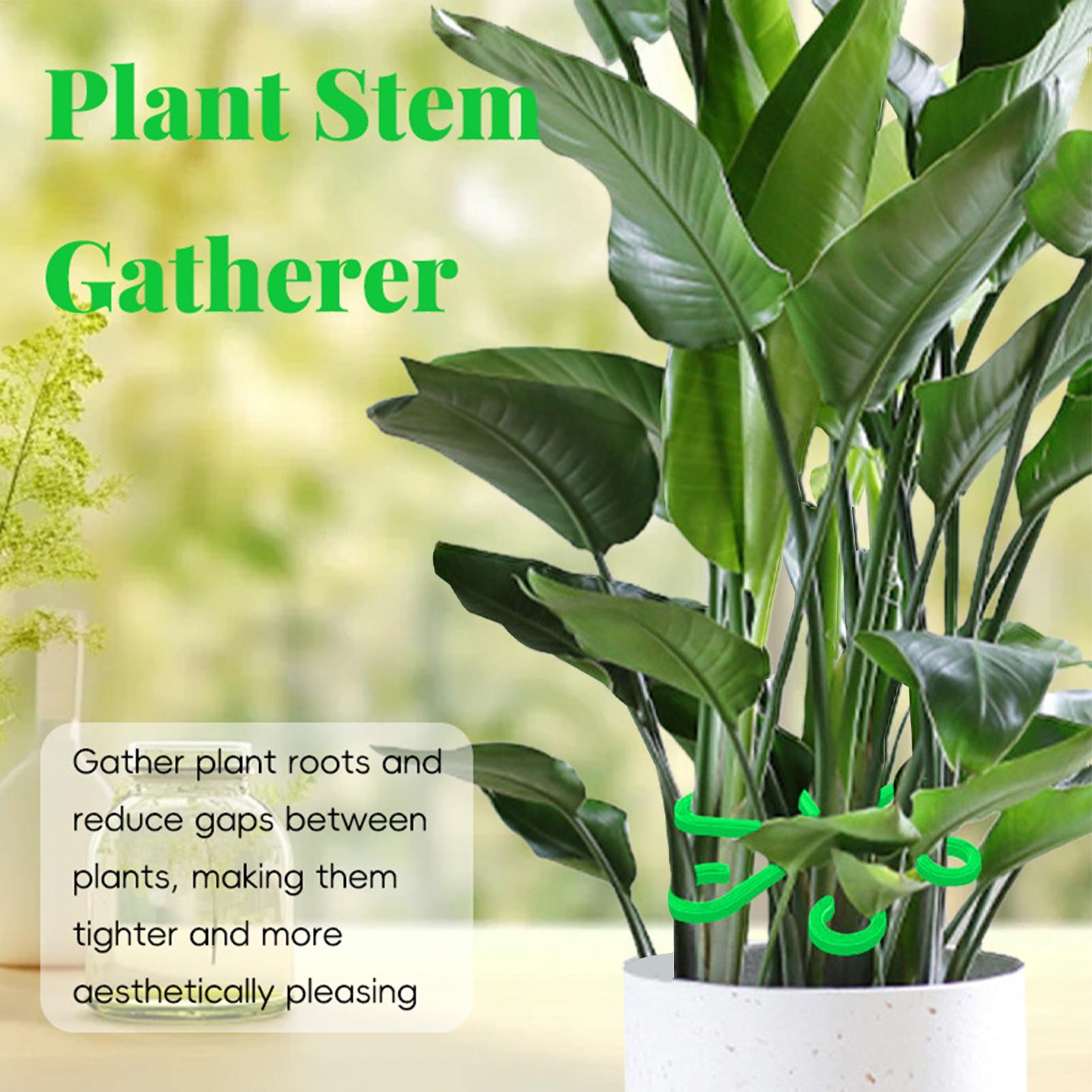 Набор из 4 складных фиксаторов – обзор и цена Plant Parent Tools