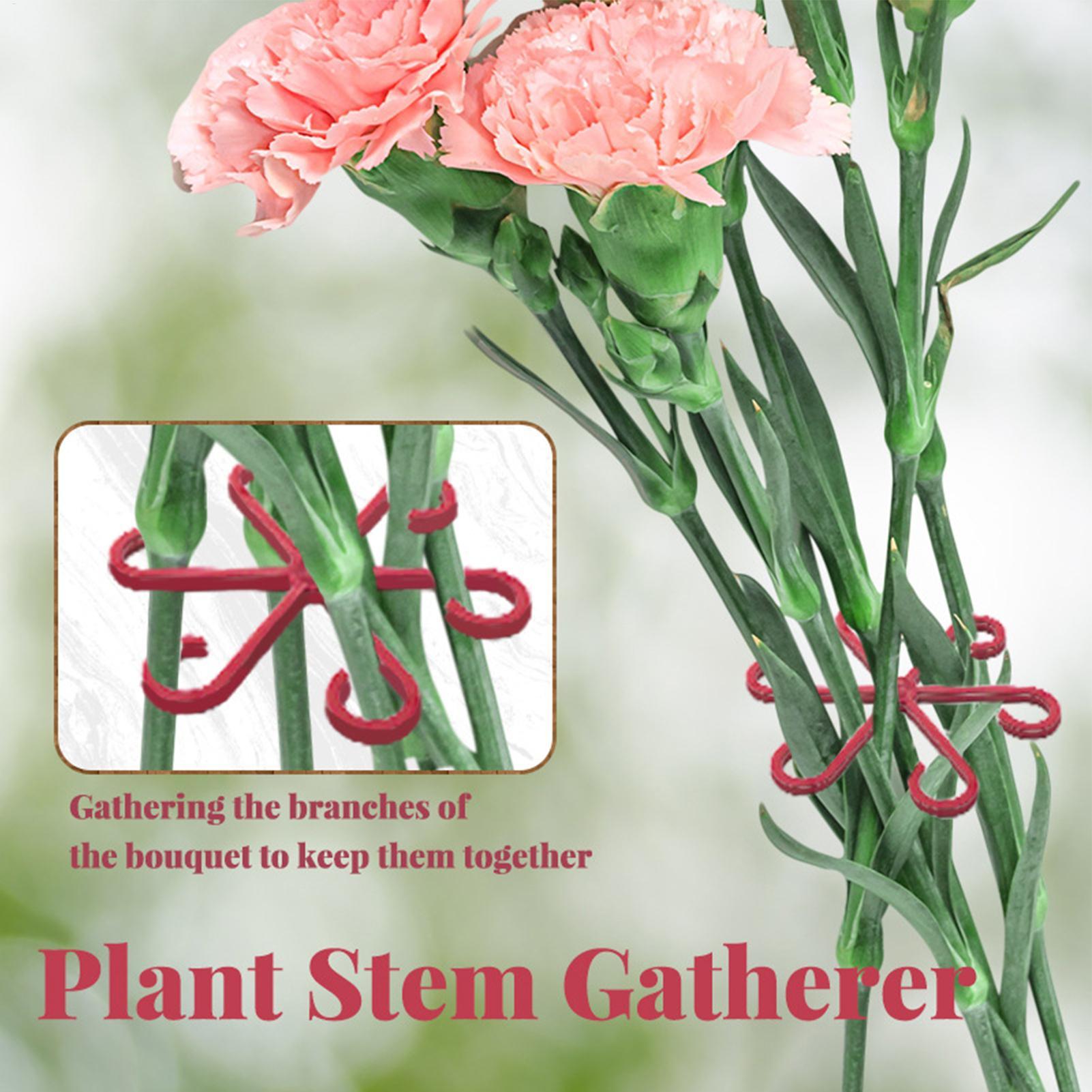 Набор из 4 складных фиксаторов – обзор и цена Plant Parent Tools