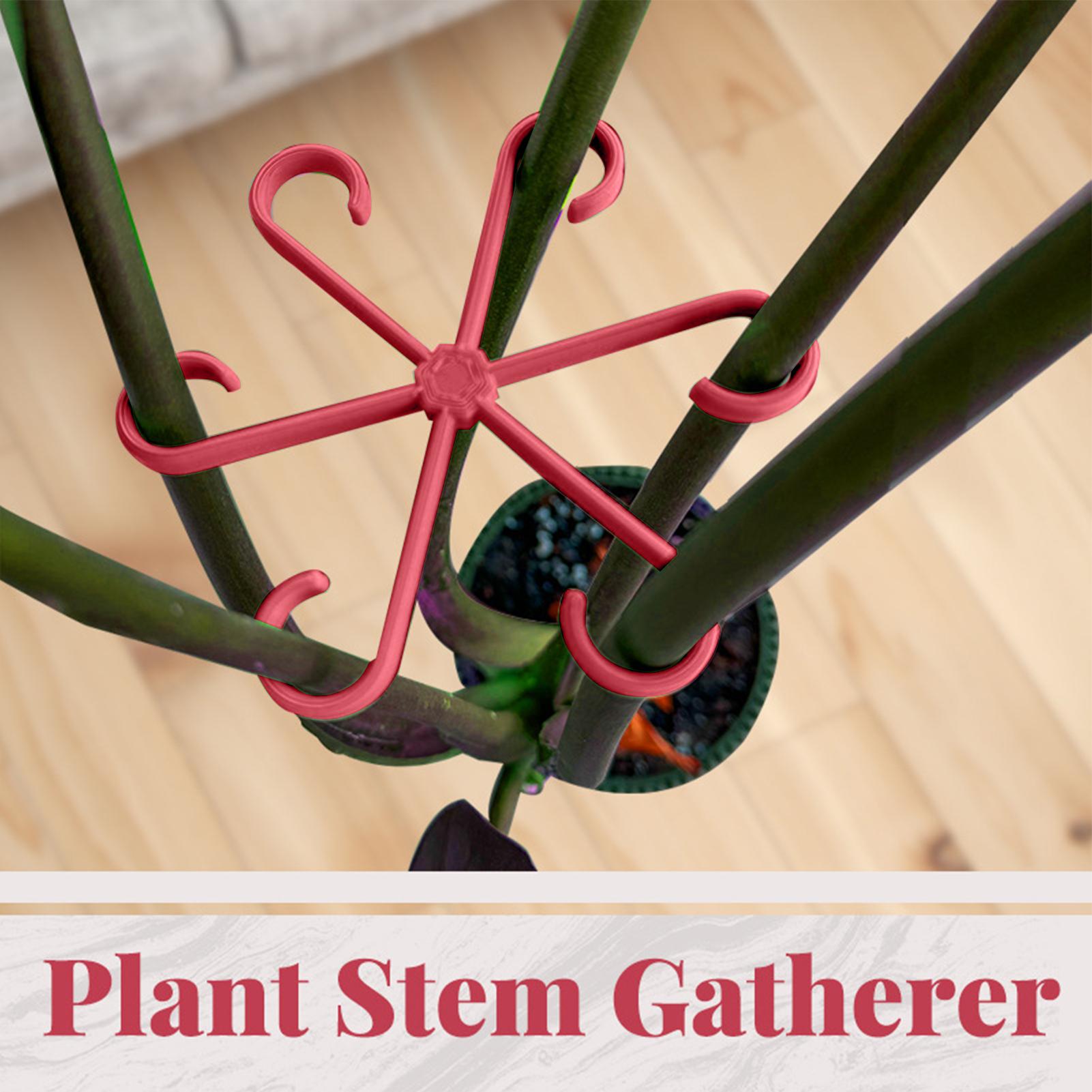 Набор из 4 складных фиксаторов – обзор и цена Plant Parent Tools