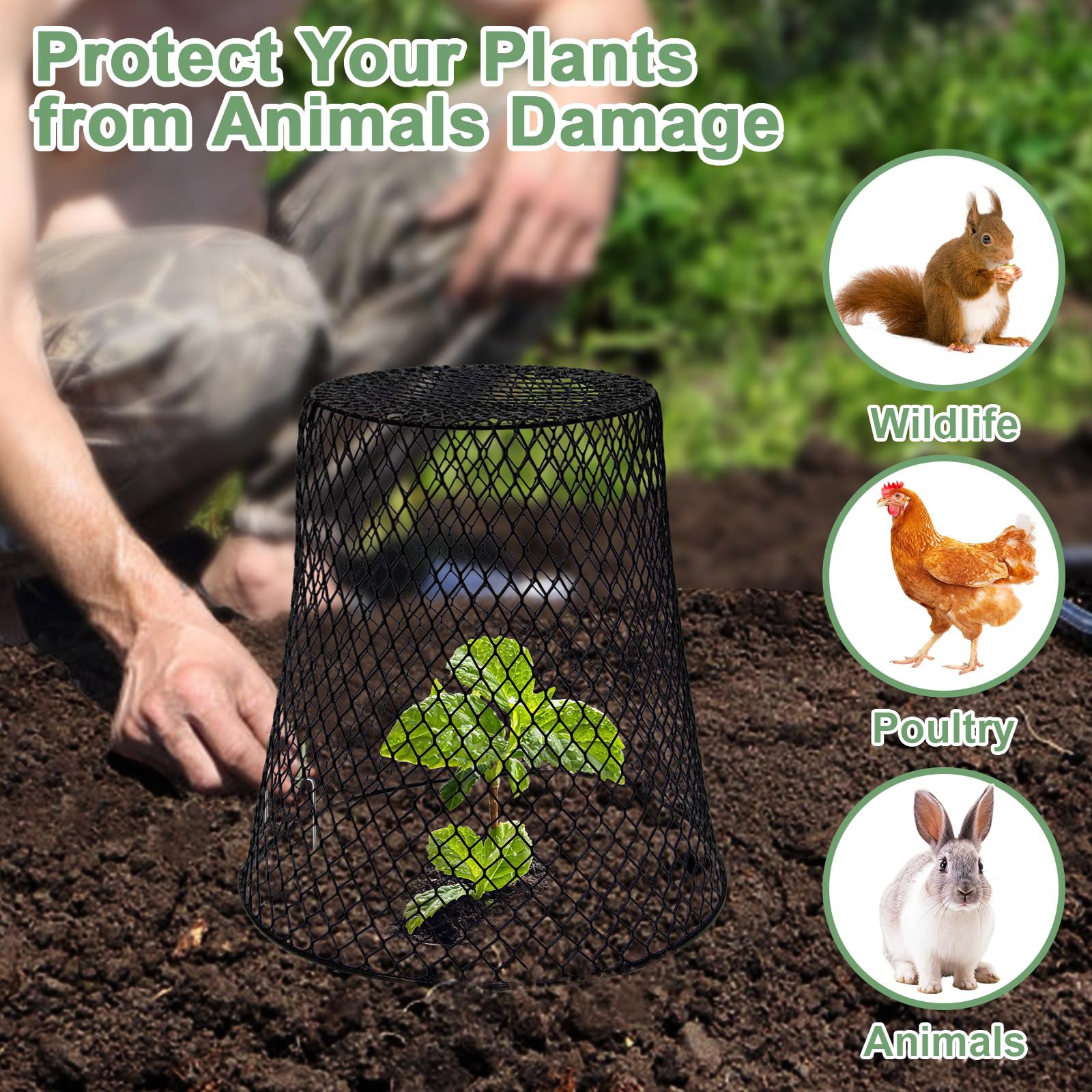 Защитные колпаки-сетки от слиз – обзор и цена Plant Parent Tools